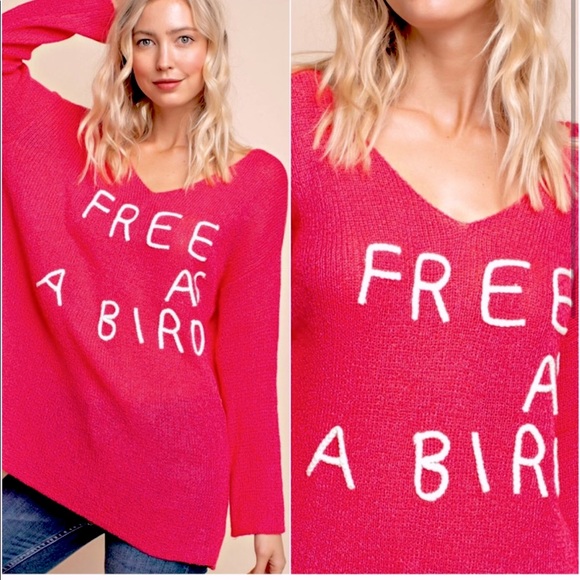 PINK EMBROIDERED OVERSIZED “FREE AS A BIRD” LOGO SWEATER TOP - Picture 3 of 3